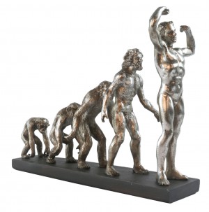 Evolution Of Man