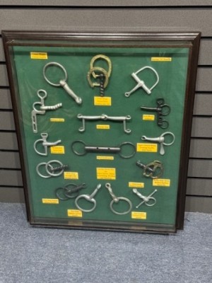 Horsebits In Glass Showcase 83 x 68cm