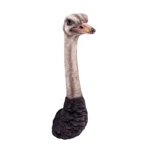 Ostrich Head Wall Art Faux Taxidermy - 72cm