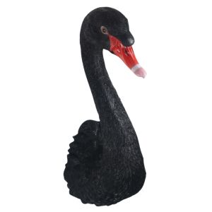 Black Swan Head  Wall Art Faux Taxidermy - 57.5cm