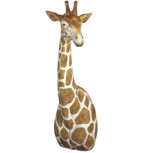 Natural Giraffe Head & Neck Wall Art Faux Taxidermy - 61cm