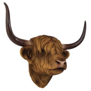 Highland Cow Wall Hanging - 50.5cm
