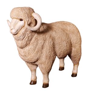 Merino Ram Life Size - 110cm 