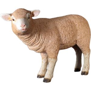Life Size Standing Merino Lamb 62cm