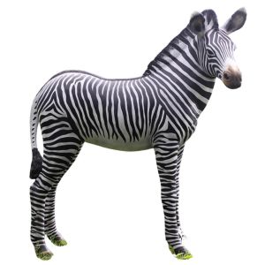 Zebra Foal - 110cm