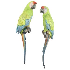 Pair Buffons Macaws Wall Art Faux Taxidermy - 70cm