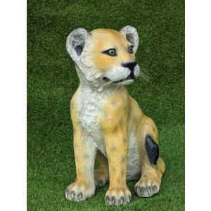 Lion Cub - Sitting 55cm