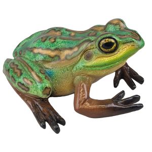 Green and Golden Bell Frog - 35cm