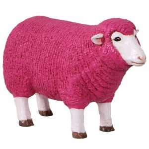 Merino Ewe Head Up - Small - 54cm - Pink Finish