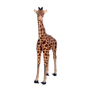 Baby Giraffe - 176cm