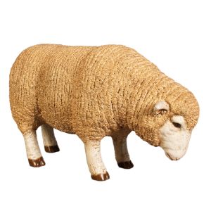 Merino Ewe Grazing - 53cm Small