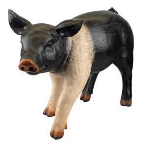 Chubby Piglet - Saddleback - 59cm