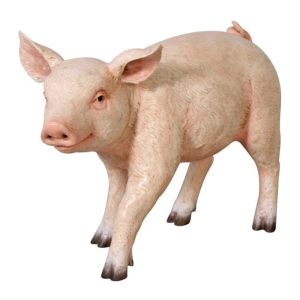 Chubby Piglet - Pink - 59cm